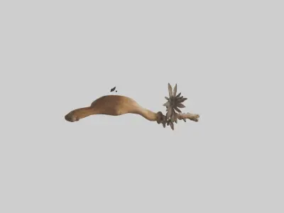 Organic Wall Decor Low-poly 3D model