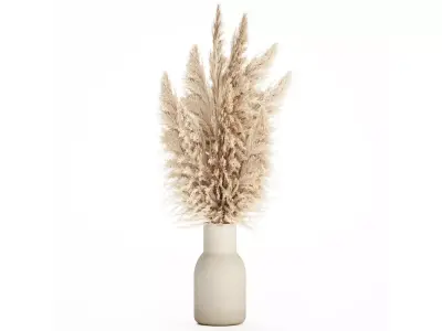 Bouquet Dried Flowers Branches Cortaderia Pampas vase 554 3D model