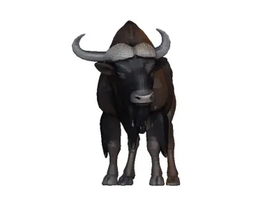 Bison Low-poly 3D model