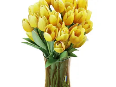 Flower Set 26 - Yellow Tulips Bouquet 3D model