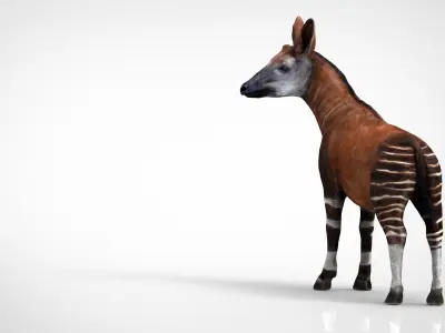 OKAPI antelope Low-poly 3D model