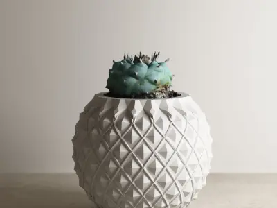 pot collection a09 5 pots