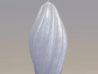  Twisted prolate shape candle  3D model