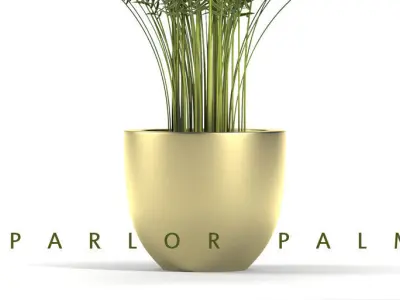 Plant 67 3D model