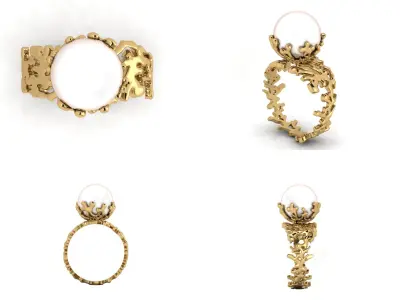 Ring akr 33 3D print model