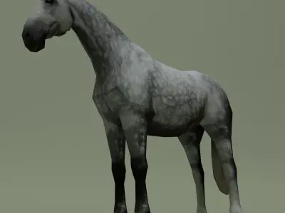 LowPoly Horse B Dapple grey Low-poly 3D model