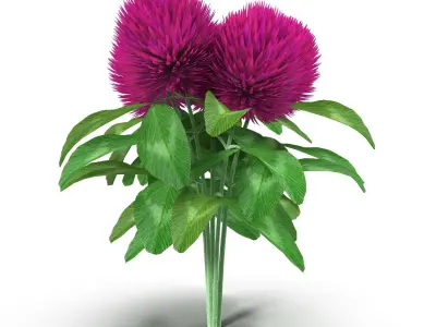 Flower Clover 3D model