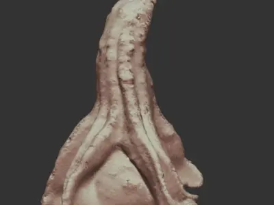 decoration pumpkin green with photogrammetry Free low-poly 3D model