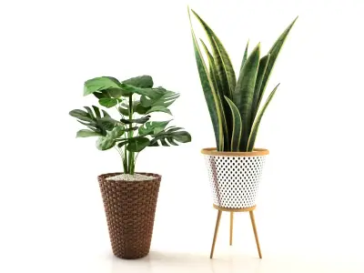 plant collection set 02  3D model