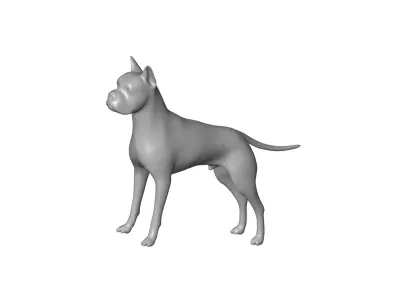 Boxer 3D model