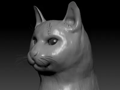 Cat head 3D model