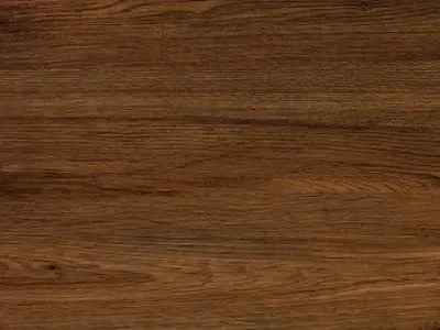 ne ne nen nen ne  Free 3D model