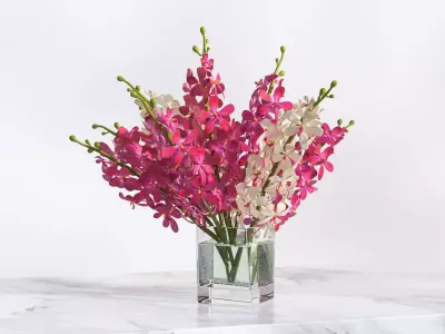 Pink and white flower in a vase 3D model