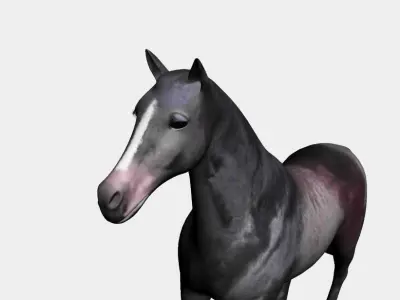Horses full body Low-poly 3D model