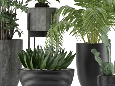 Plants Collection 19 3D model