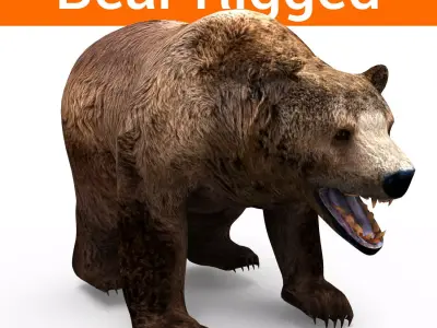 brown-bear animal 3d model  Low-poly 3D model