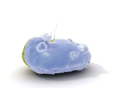 Fluffy Green Island model pack Low-poly 3D model