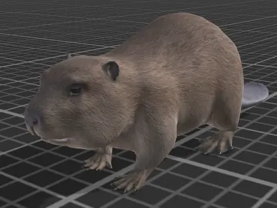 Pack of small animals Low-poly 3D model