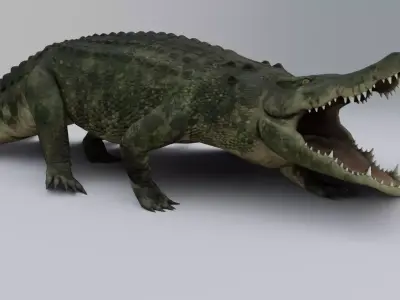 Crocodile Low-poly 3D model