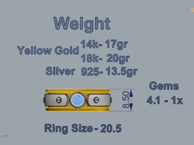 Man Ring 08 3D print model