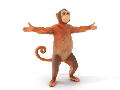 Animated Monkey Character model pack Low-poly 3D model