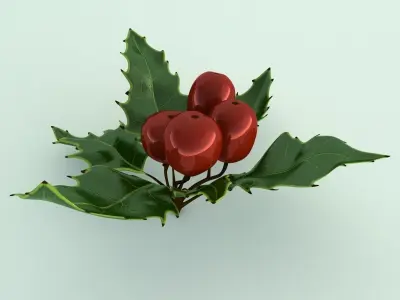 Mistletoe Sprig Holly 3D model