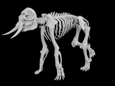 Elephant skeleton Low-poly 3D model