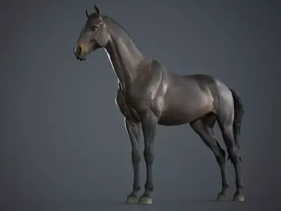 Horse - 3D Sculpting - TPose 3D model
