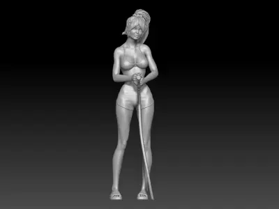 car wash girl 2025 3 3D print model