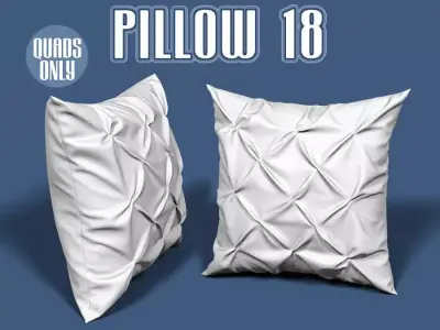 Pillow 18 3D model
