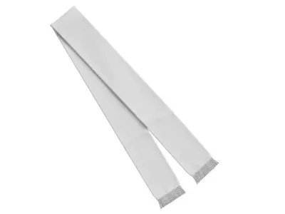 Football Fan Scarf 03 3D model