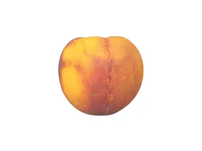 Photorealistic Peach 3D Scan 3D model