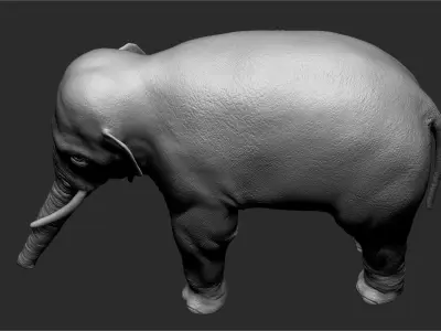 Asian Elephant Sculpt 3D model