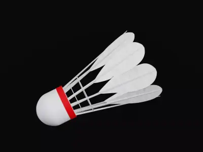 Shuttlecock 3D model
