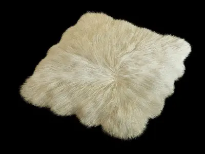 Skin sheepskin 01 3D model