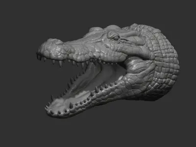 Crocodile head 3D print model