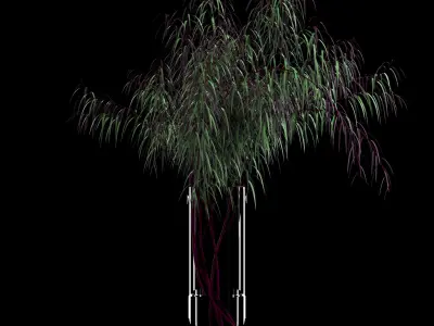 Agonis plant in glass vase 3D model