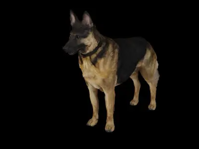 German Shepherd  Low-poly 3D model