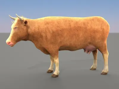 Cow Male and female plus animation Low-poly 3D model