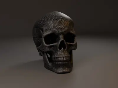 Skull human Free 3D model