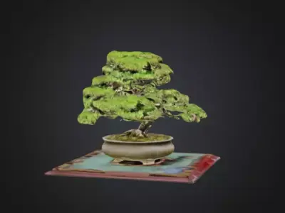 3D Model of a Bonsai Tree in a Pot 3D model