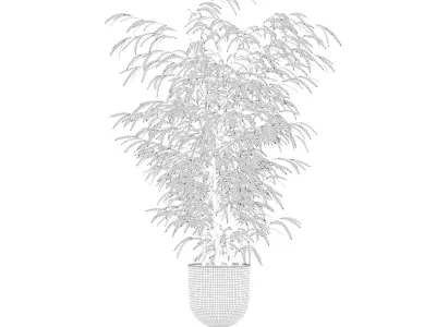 Bamboo in modern flower pot 3D model