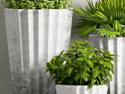 Decorative plant set-37 3D model