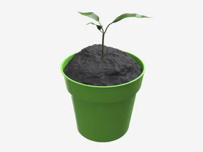 Decorative potted plant 12 3D model