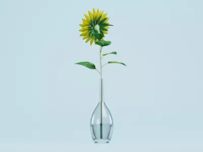 Sunflower in Glass Vase 3D model