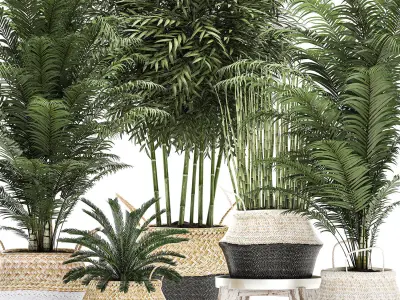 Decorative plants in a basket for the interior 489 3D model