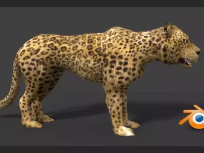 leopard cheetah 3D model