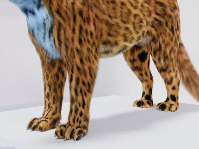 Realistic Fur Leopard 02 3D Model NO RIG Low-poly 3D model