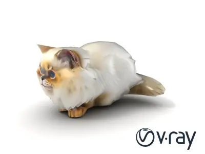 VelvetPaw Persian Cat model pack Low-poly 3D model