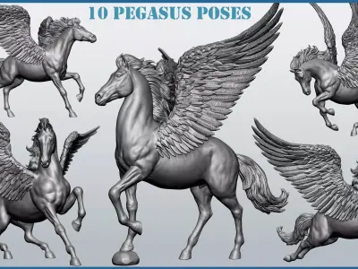 10 PEGASUS poses 3D model